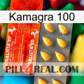 Kamagra 100 new01